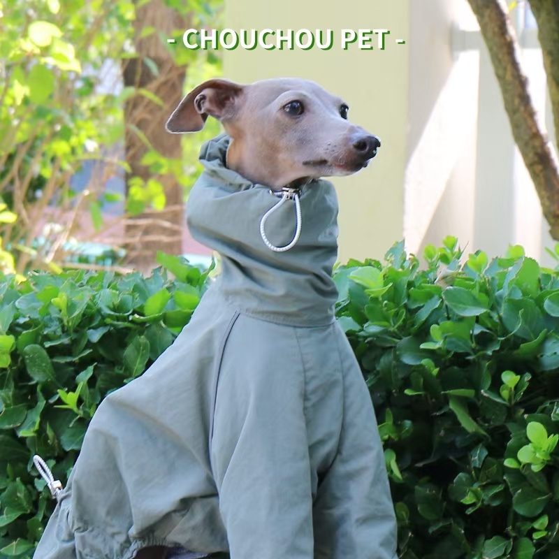Dog Raincoat - Płaszcz przeciwdeszczowy dla charta włoskiego, jesienna