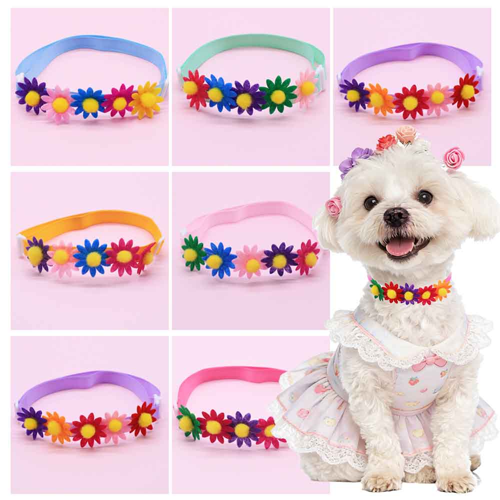 Pet Supplies Hours - 50 SZTUK Kolorowych Muszek dla Psów,