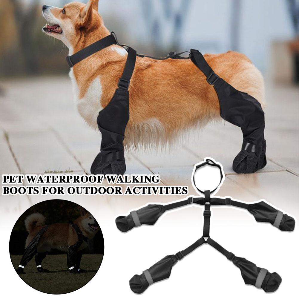 Dog Booties Paw Protector - Wodoodporne buty dla psa z szelkami,