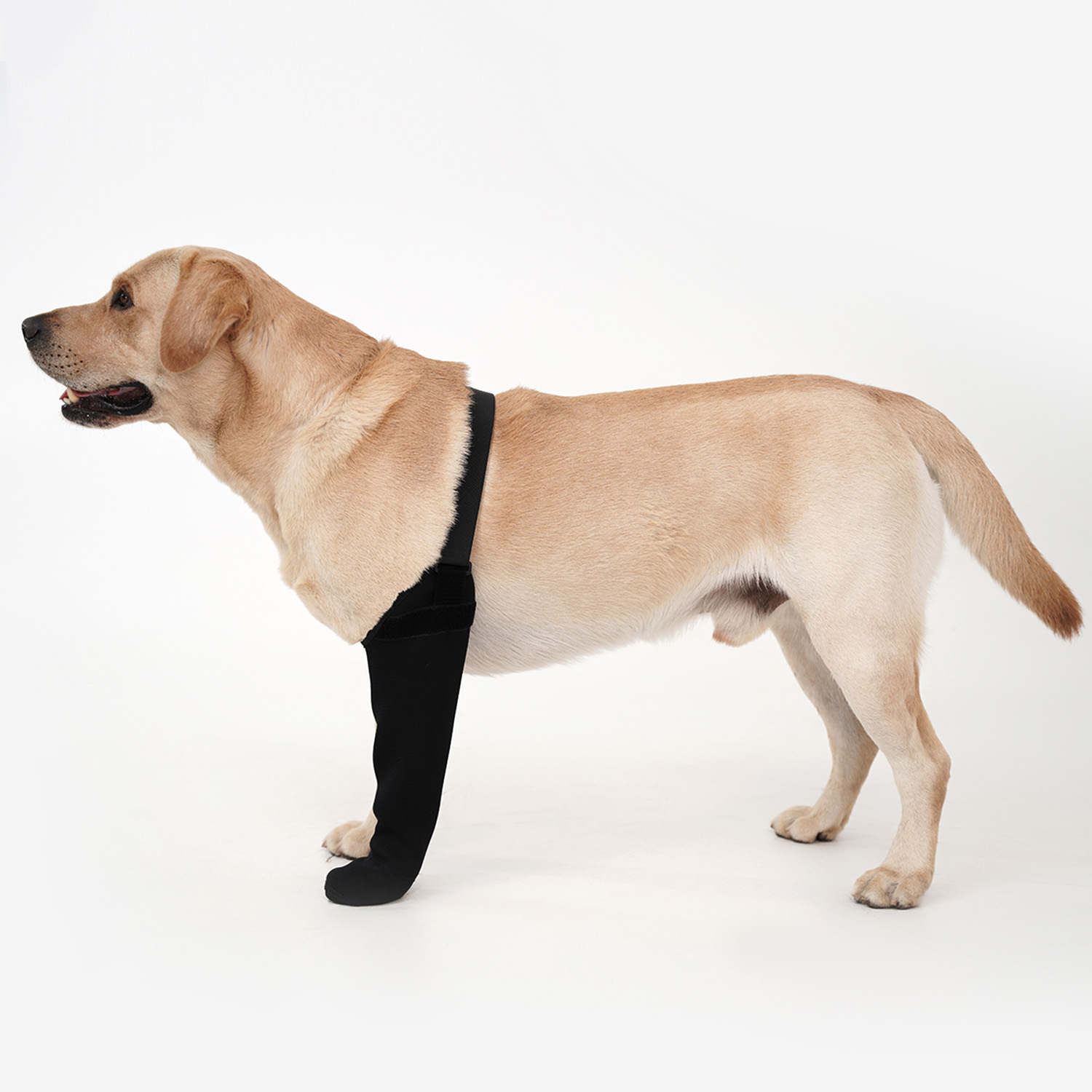 Dog Raincoat - Wodoodporna, oddychająca, pyłoszczelna osłonka na jedną