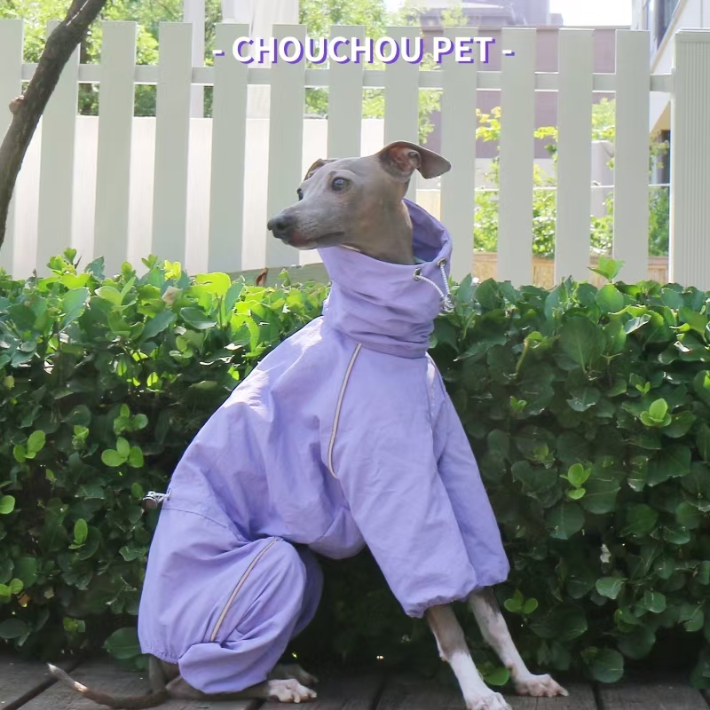 Płaszcz przeciwdeszczowy dla c – Dog Raincoat recenzja i cena