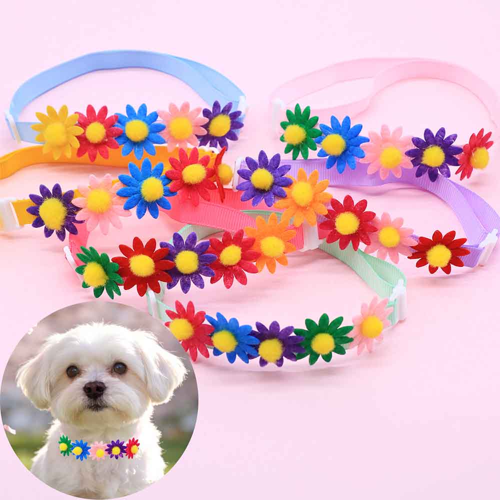 50 SZTUK Kolorowych Muszek dla – Pet Supplies Hours recenzja i cena
