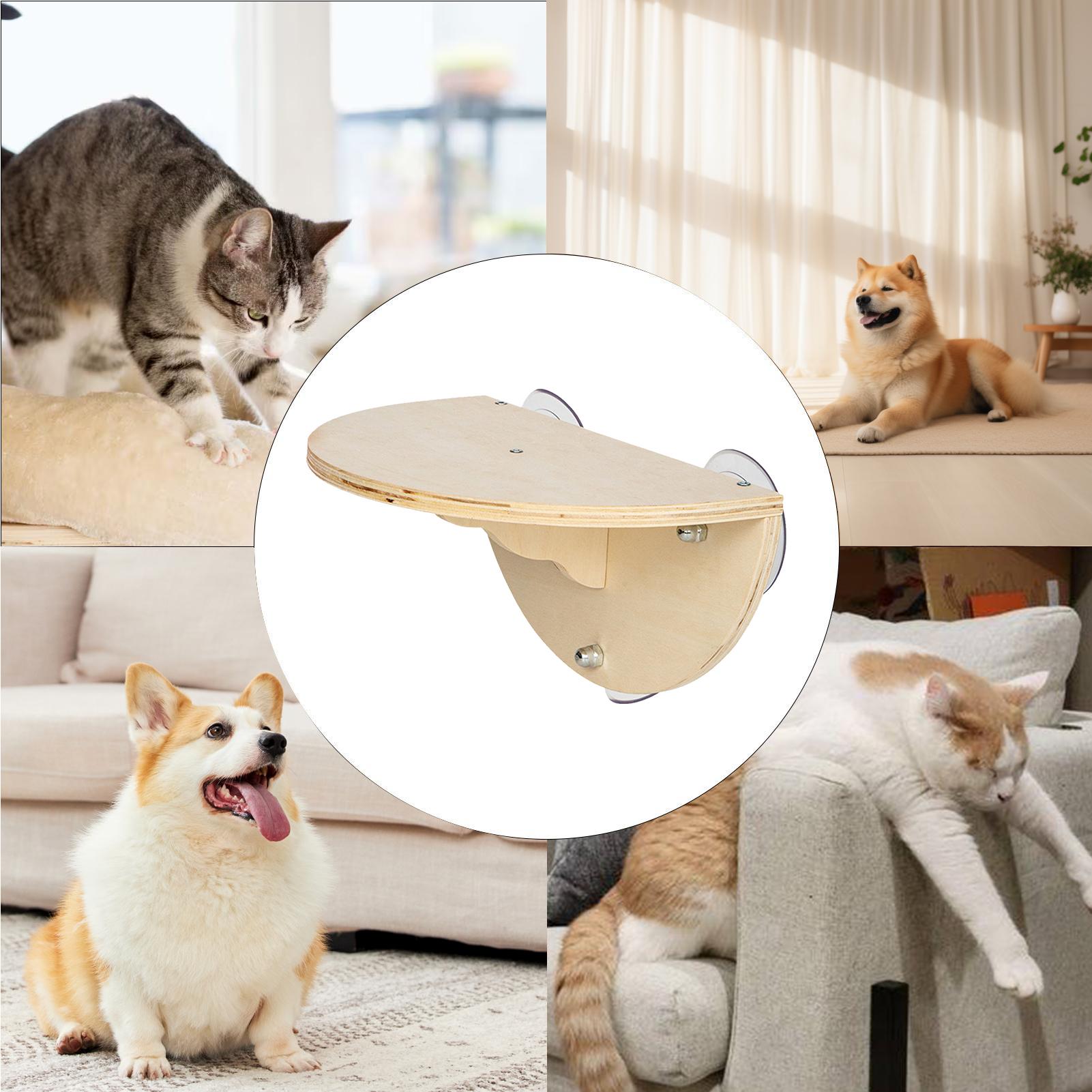 Półka dla kota na okno, oszczę – Cat Window Perch recenzja i cena