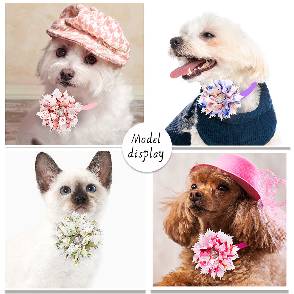 10/20 szt. Uroczy pies muszki  – Pet Supplies Hours recenzja i cena
