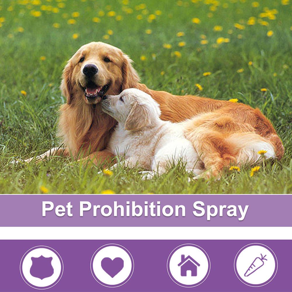 Spray Uspokajający dla Zwierzą – Pet Supplies Nz recenzja i cena