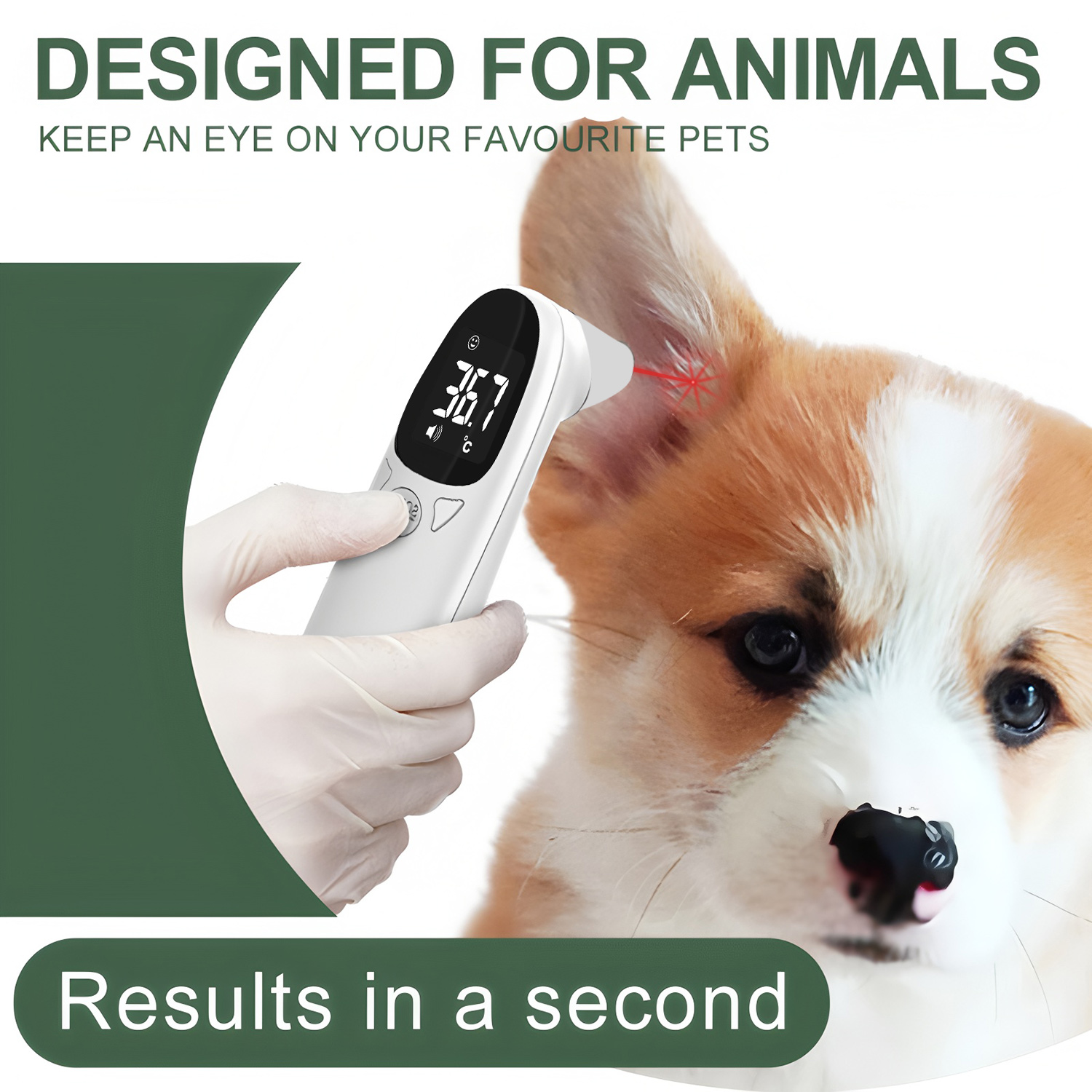 Cyfrowy termometr do uszu dla  – Pet Supplies Nz recenzja i cena