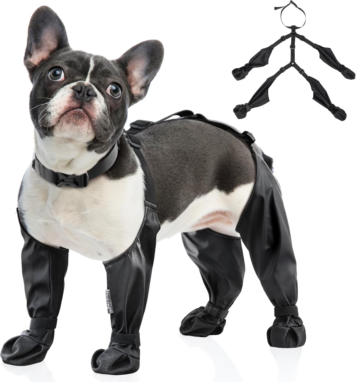 Wodoodporne buty dla psa Antyp – Dog Booties Paw Protector recenzja i cena