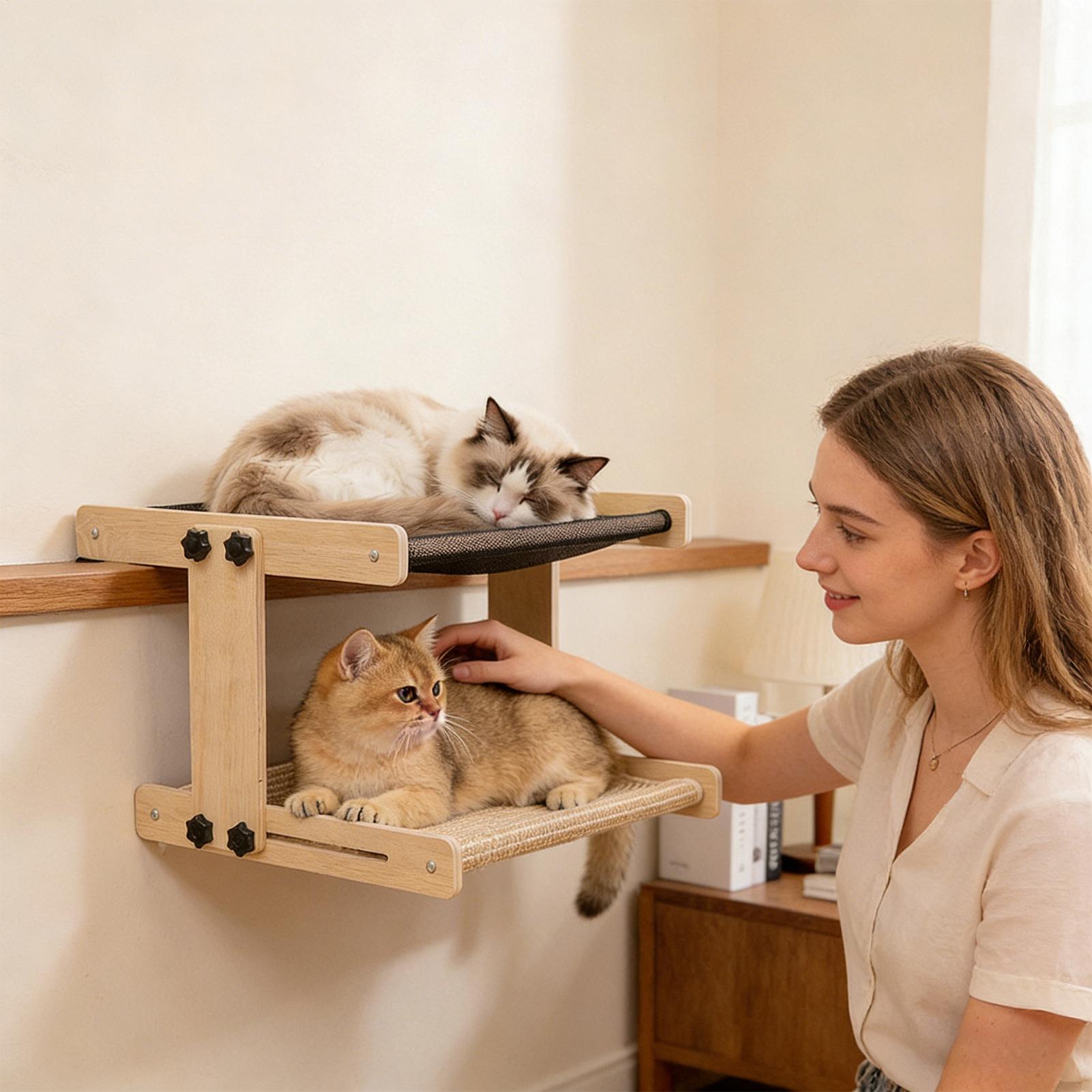 Łóżko dla kota na okno, pływaj – Cat Window Perch recenzja i cena