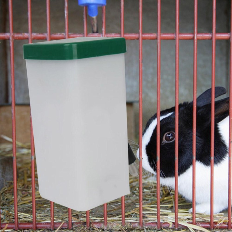 Dozownik wody dla zwierząt, bu – Pet Supplies Nz recenzja i cena