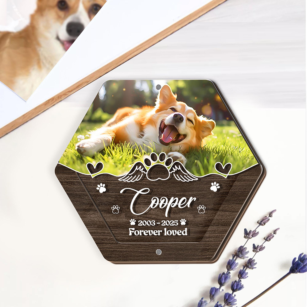 Spersonalizowane drewniane pud – Pet Supplies Nz recenzja i cena