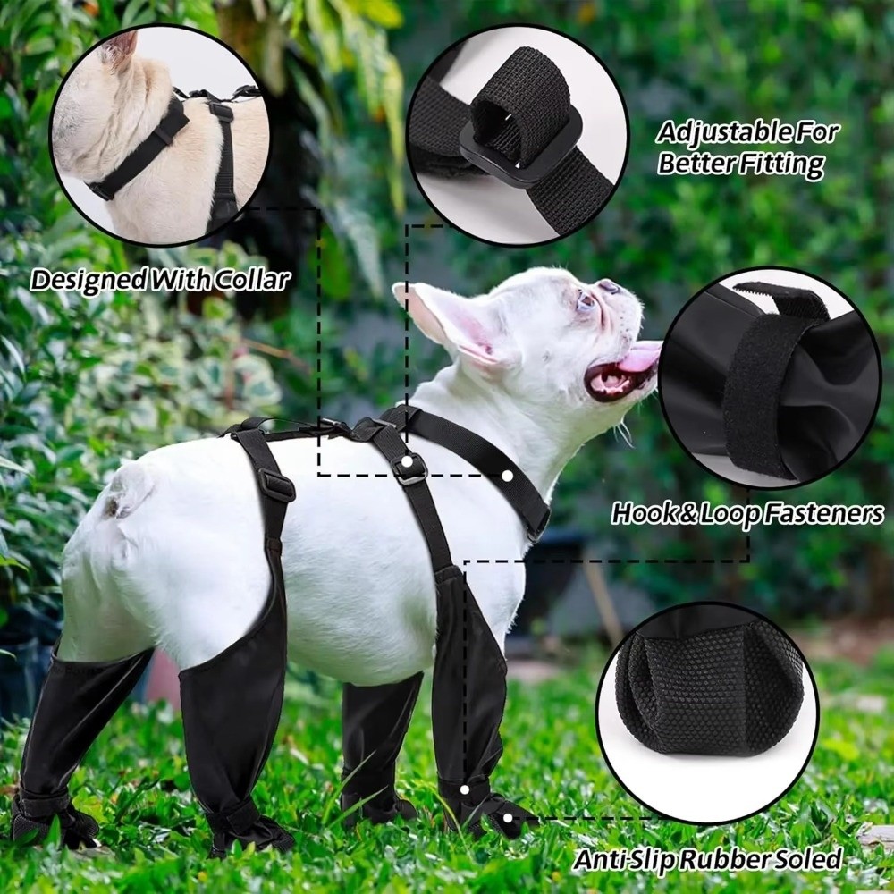 Wodoodporne buty dla psa chron – Dog Booties Paw Protector recenzja i cena