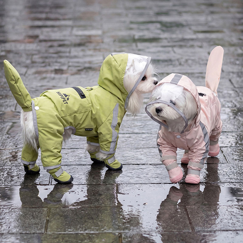 Wodoodporny płaszcz przeciwdes – Dog Raincoat recenzja i cena