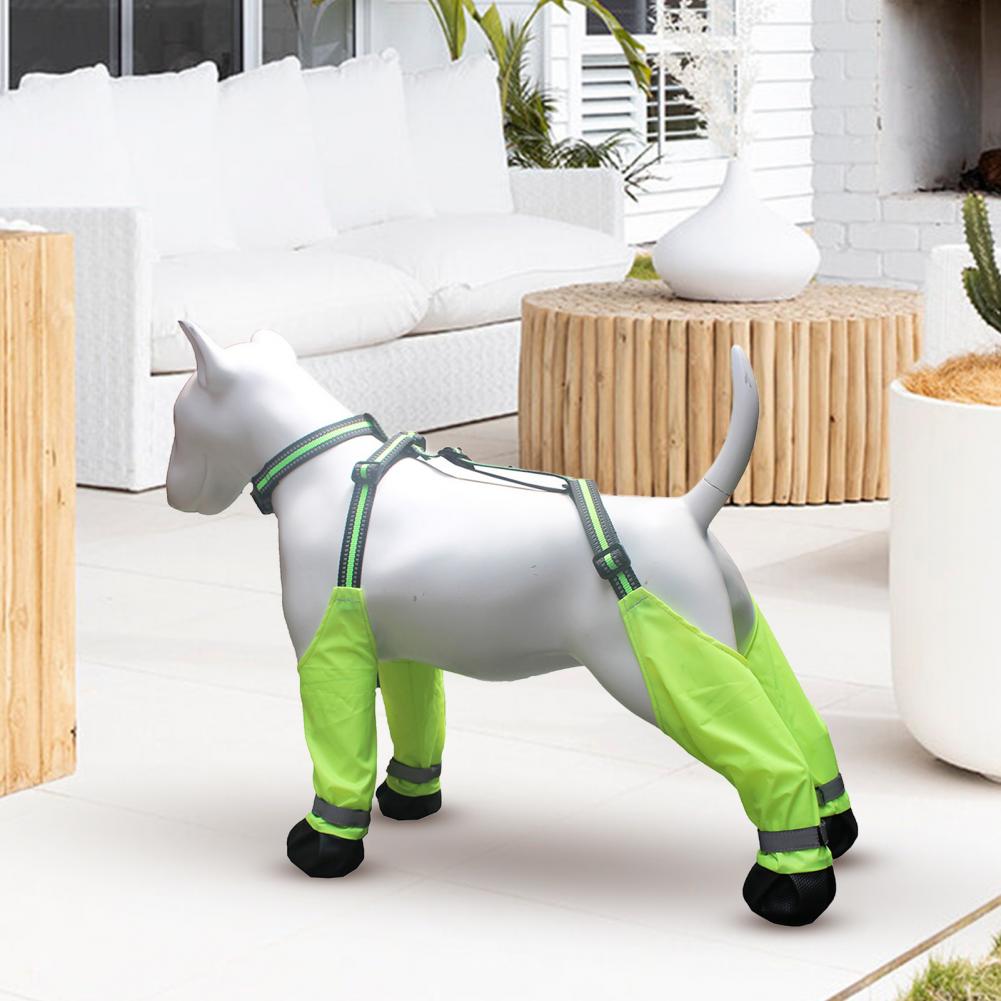 Buty na szelkach dla psa, anty – Dog Booties Paw Protector recenzja i cena