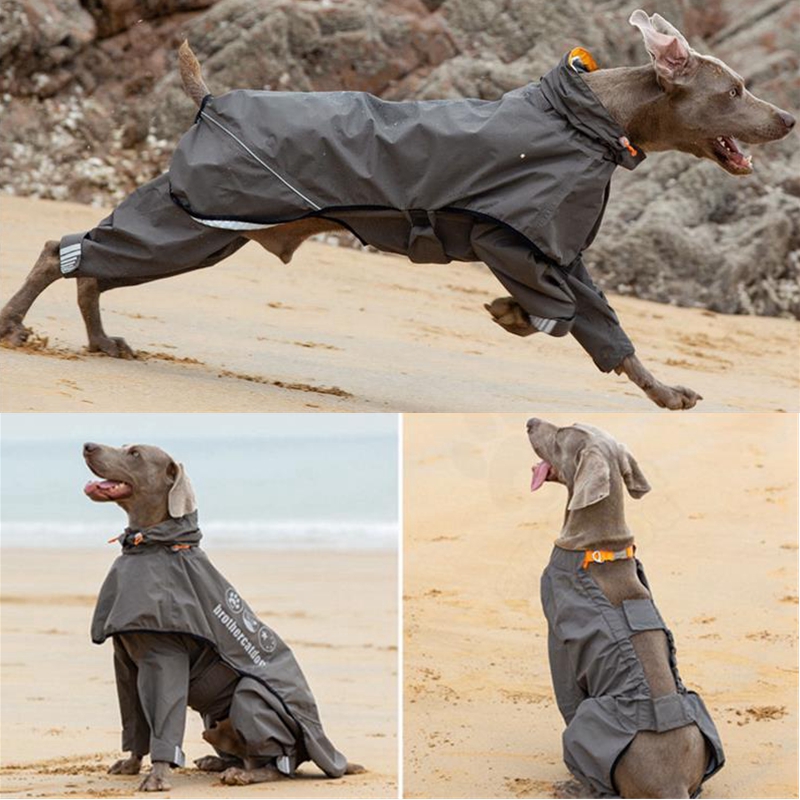 Wodoodporny kombinezon przeciw – Dog Raincoat recenzja i cena