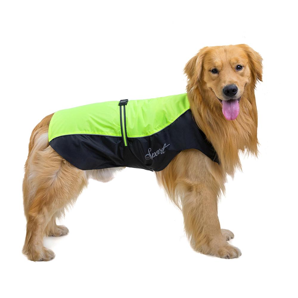 Płaszcz przeciwdeszczowy dla p – Dog Raincoat recenzja i cena