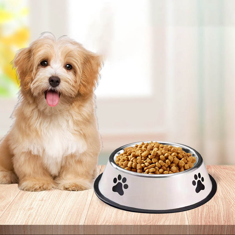 Miska dla zwierząt ze stali ni – Pet Supplies Hours recenzja i cena