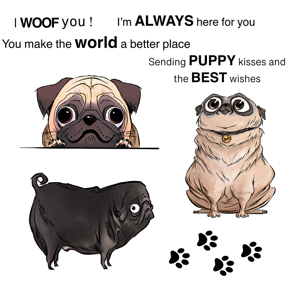 MangoCraft Cute Cartoon psy do – Dog Raincoat recenzja i cena