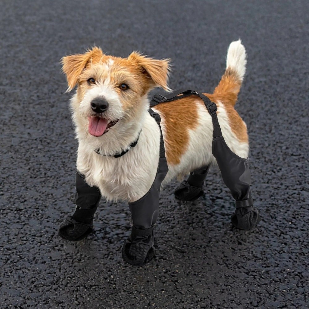 Antypoślizgowe, wodoodporne bu – Dog Booties Paw Protector recenzja i cena