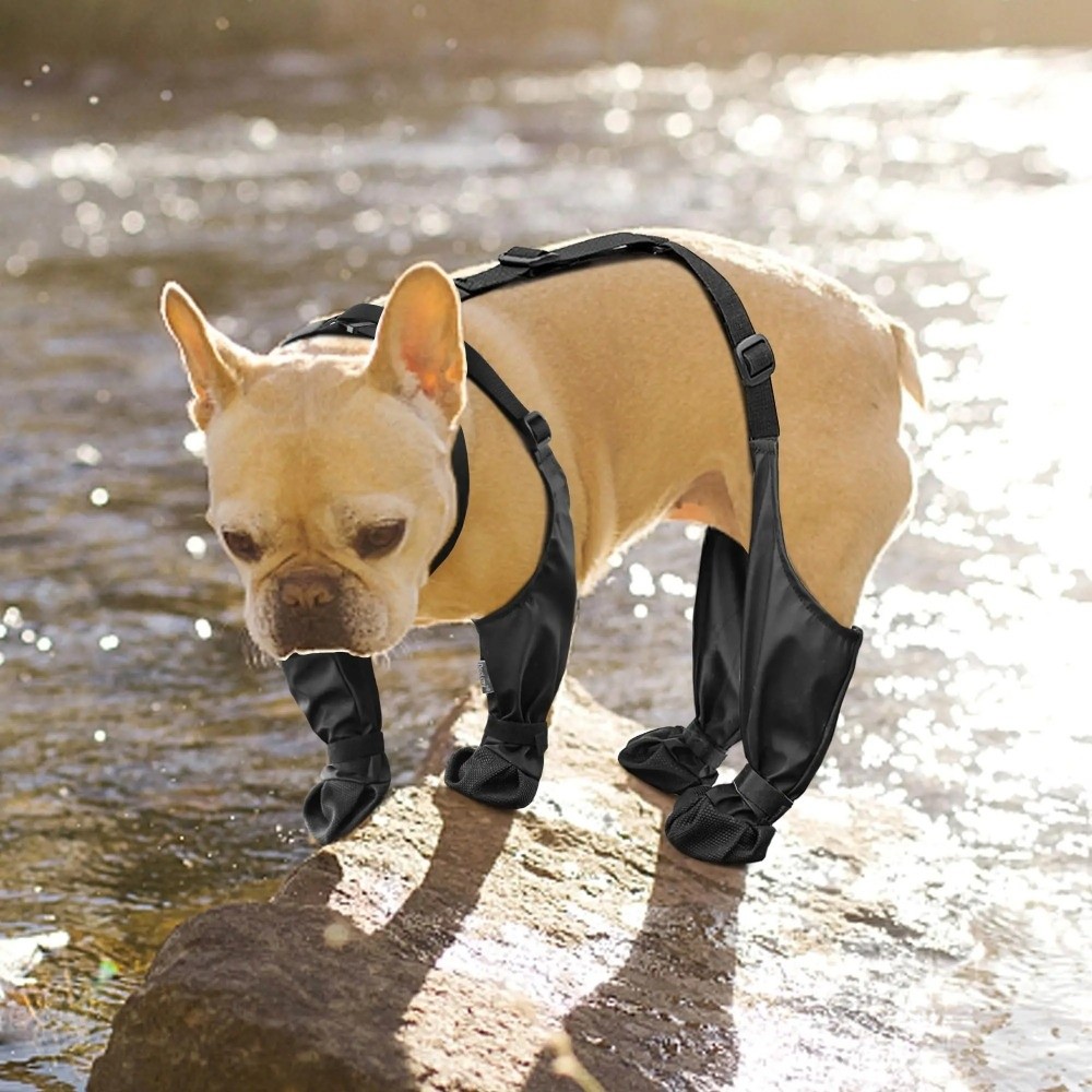 Antypoślizgowe, wodoodporne bu – Dog Booties Paw Protector recenzja i cena