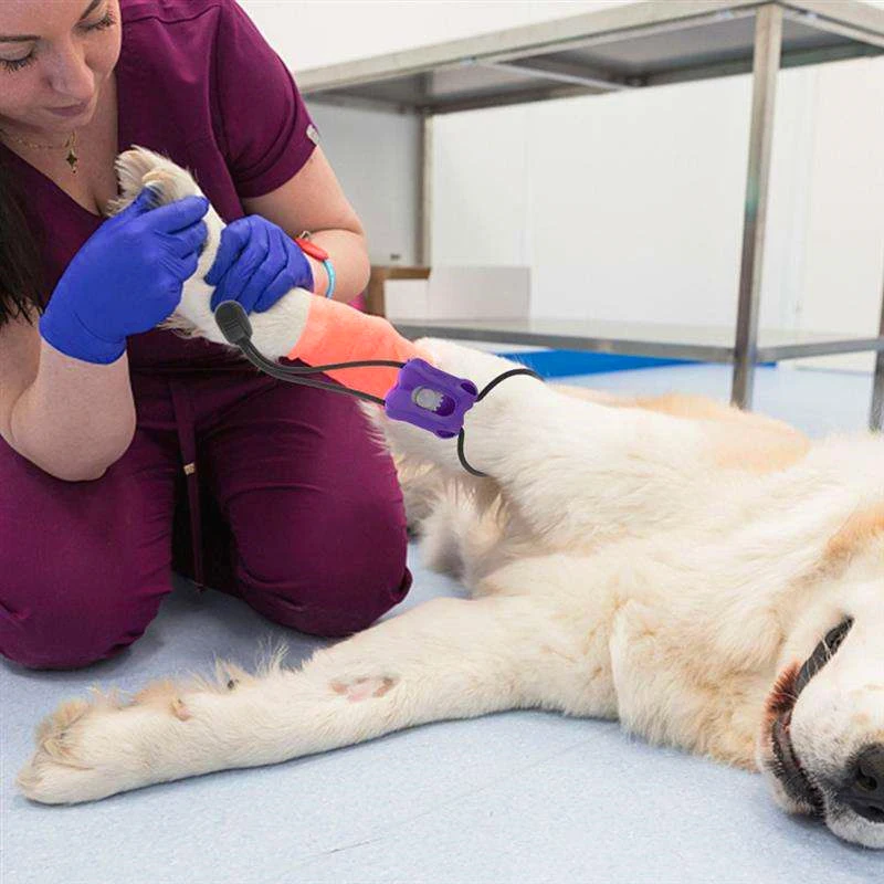 2026 Plastikowy staz taktyczny – Pet Supplies Nz recenzja i cena