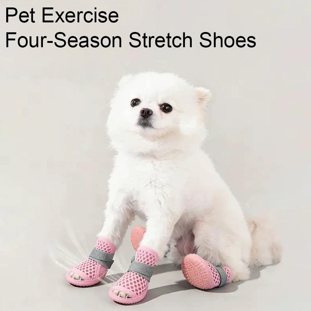 Letnie oddychające buty dla ps – Dog Booties Paw Protector recenzja i cena