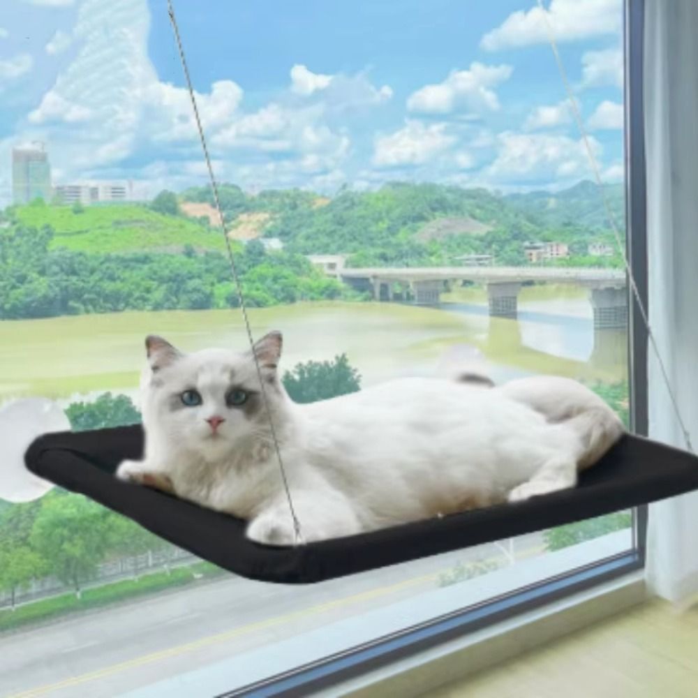 Kreatywne legowisko dla kota,  – Pet Supplies Delivery recenzja i cena